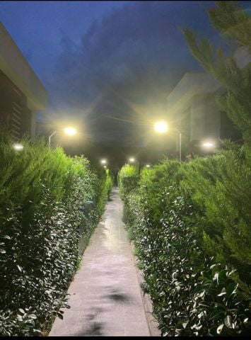 Cebeci 300cm. Led Aydınlatma Direği Bahçe, Site, Yürüme Yolu Aydınlatma