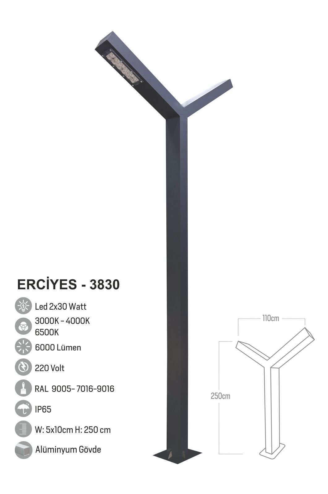 Bollard Aydınlatma Erciyes LED Çift Yönlü Bahçe Sokak Aydınlatma Direği 300cm