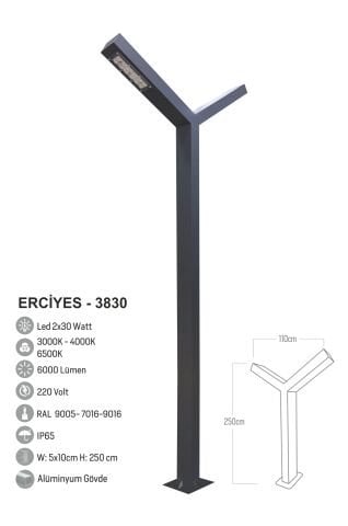 Bollard Aydınlatma Erciyes LED Çift Yönlü Bahçe Sokak Aydınlatma Direği 300cm