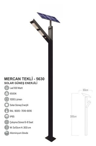 Bollard Aydınlatma Mercan Güneş Enerjili Direk 300CM