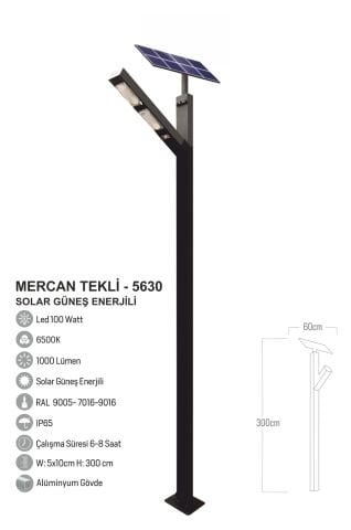 Bollard Aydınlatma Mercan Güneş Enerjili Direk 300CM